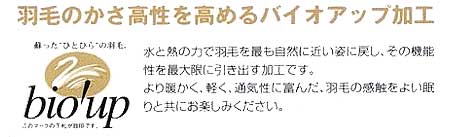 �o�C�I�A�b�v�H�ѕz�c