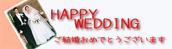 �u���C�_������z�c