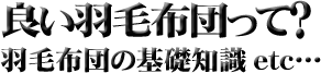 �H�ѕz�c�̊�b�m��