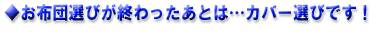 �J�o�[�I��
