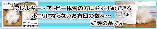 �A�����M�[�Q��@�z�c