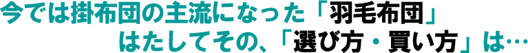 �H�ѕz�c�̏��ȑI�ѕ��������@�������Ȃ����@