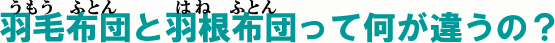 �H�ѕz�c�ƉH���z�c�̈Ⴂ