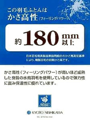 ����������18cm�ȏ�