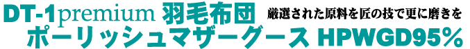 �|�[�����h�Y�}�U�[�O�[�X�_�E������ꂽ�ō��N���X�̉H�ѕz�c