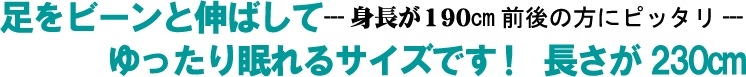 �X�[�p�[�����O�|�z�c�J�o�[