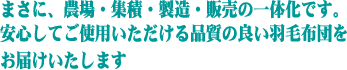 ���Y�E�̔��̐M���̈�̉�