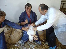 �n���h�v���b�L���O