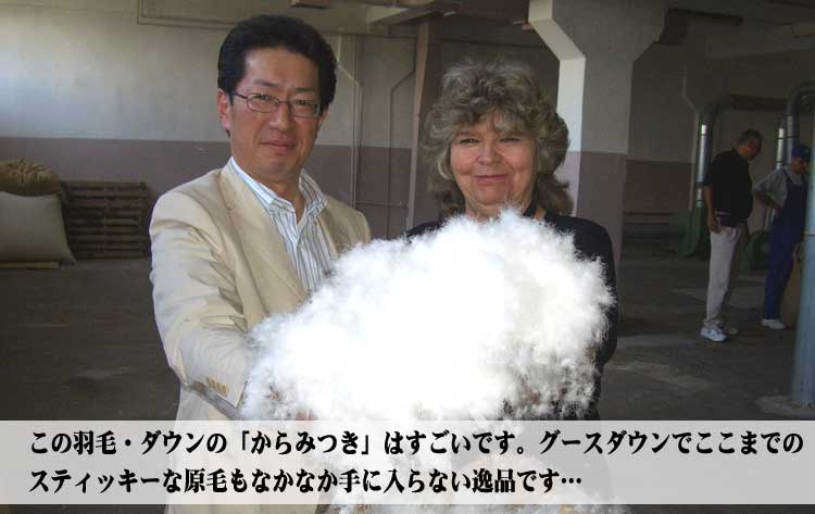 �f���炵�����т���ɓ���܂���
