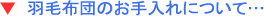 �H�ѕz�c�̂������
