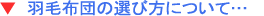 �H�ѕz�c�̑I�ѕ�
