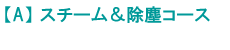 �yA�z �X�`�[�������o�R�[�X�̉H�ѕz�c�̃��t�H�[��