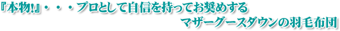 �w�{���I�x�E�E�E�v���Ƃ��Ď��M�������Ă����߂���}�U�[�O�[�X�_�E���̉H�ѕz�c