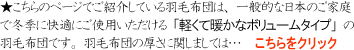 �H�ѕz�c�̌���
