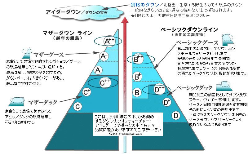 ダウンのランク