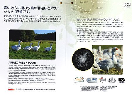 ホワイトコウダ