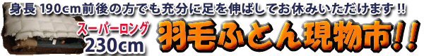 �����̃����O�T�C�Y�H�ѕz�c
