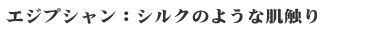 �G�W�v�V�����E�V���N�̂悤�Ȕ��G��