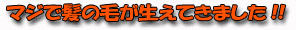 �C�I���}�X�^�[
