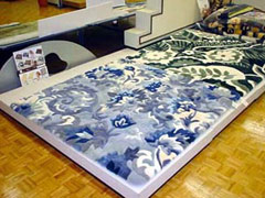 ����̕z�c