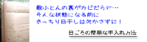 �J�r�̎ʐ^