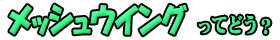 ��ݸރ��b�V���̊Ŕ�