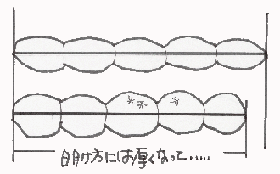 羽毛の特長