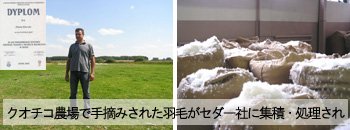 トレーサビリティ