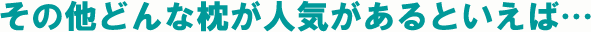 他に人気の枕は