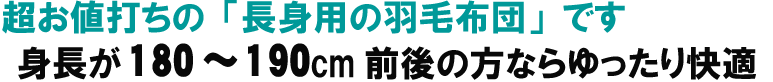 長身の方にも安心の羽毛布団
