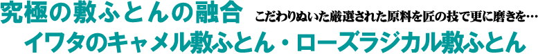 イワタのキャメル敷ふとんとローズラジカルの理想的な組み合わせ