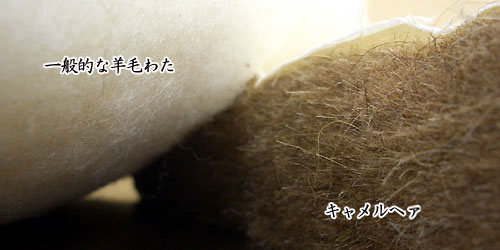キャメルヘアー