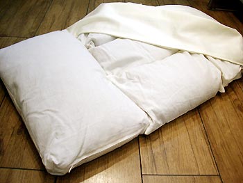 エラストパイプ枕