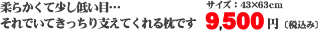エラストパイプ枕