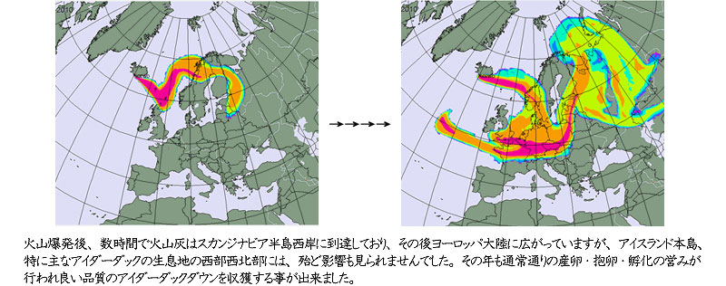 アイスランドの火山灰の流れ