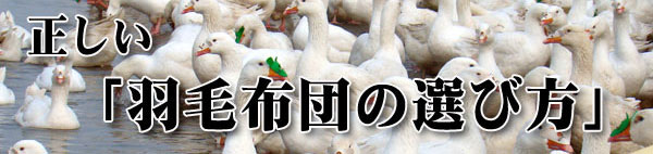 羽毛布団の選び方のバナー