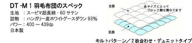 DT-M1のスペック