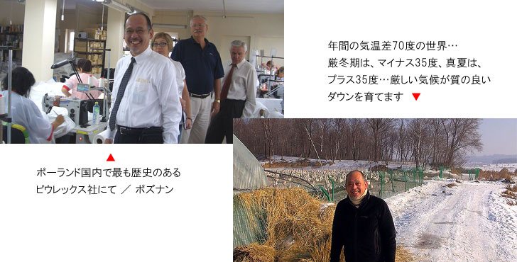 ポーランド産ホワイトグース