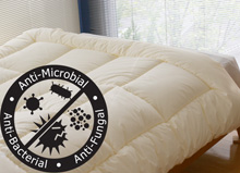 QT-2/�A�����M�[�΍�|�z�c