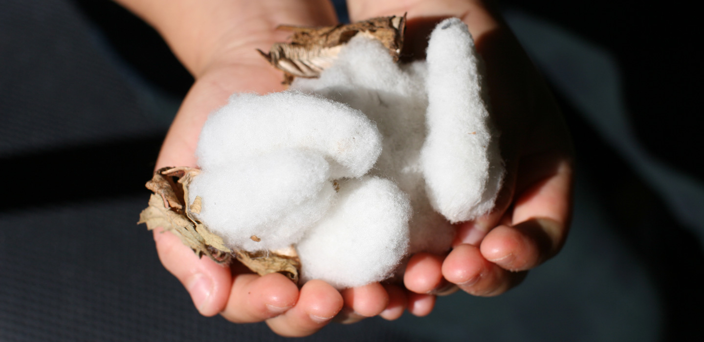 綿わた素材