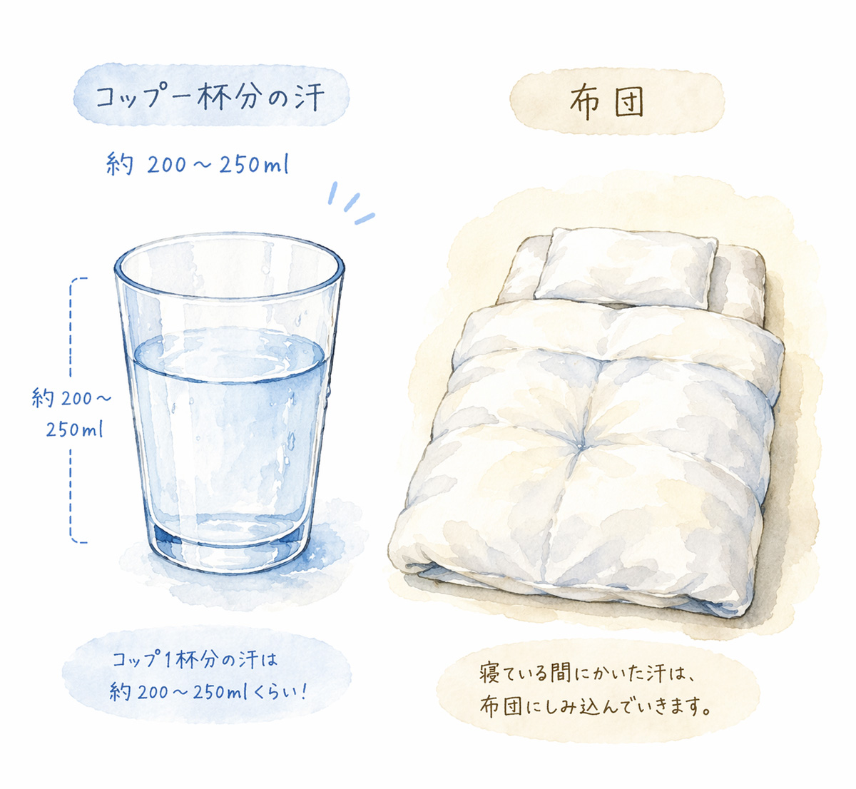 コップ一杯分の寝汗