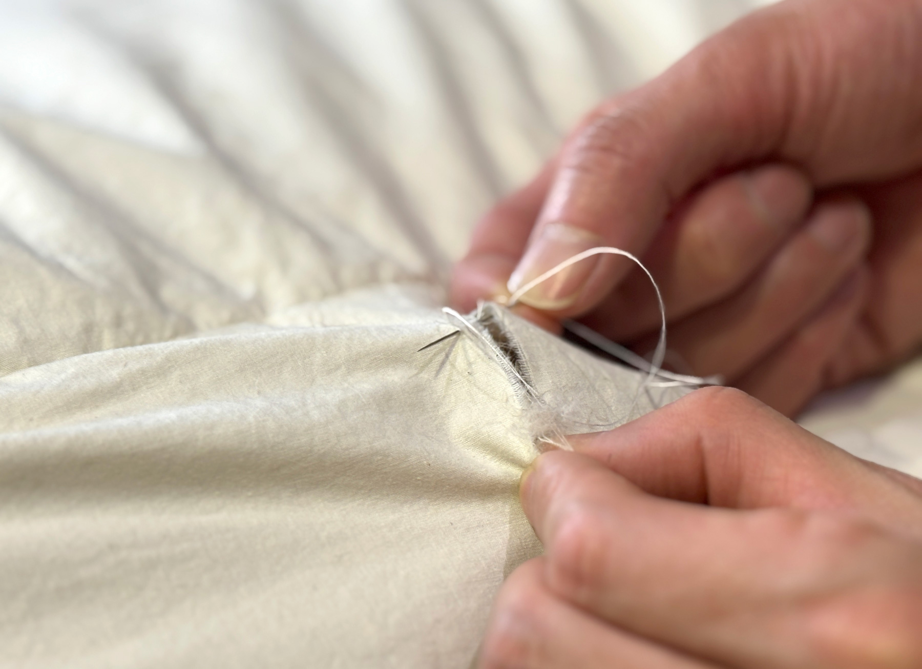 �S�A�e�b�N�X���H�H�ѕz�c