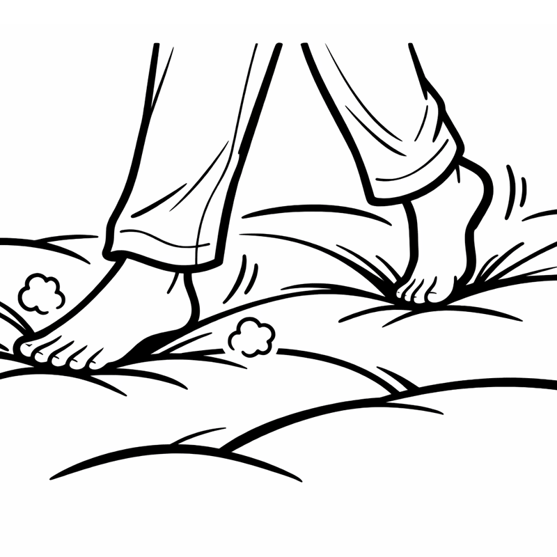 �H�ѕz�c�Œ��˂�