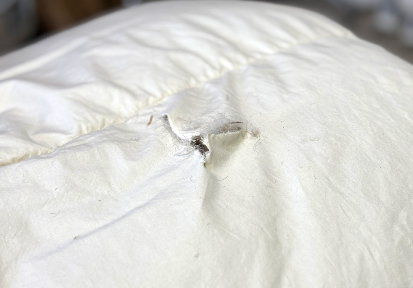 �􂯂Ă��܂����H�т̐��n