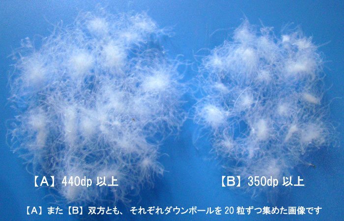 マザーグース・440dpの実際の羽毛の写真