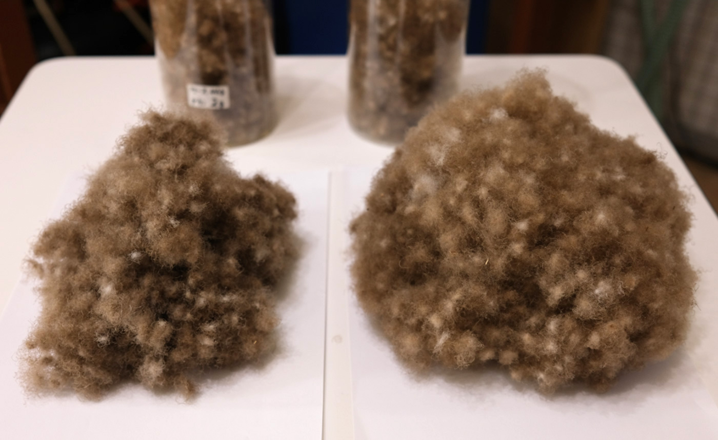 �g�p�����A�C�_�[�̕ω��Ɣ�r