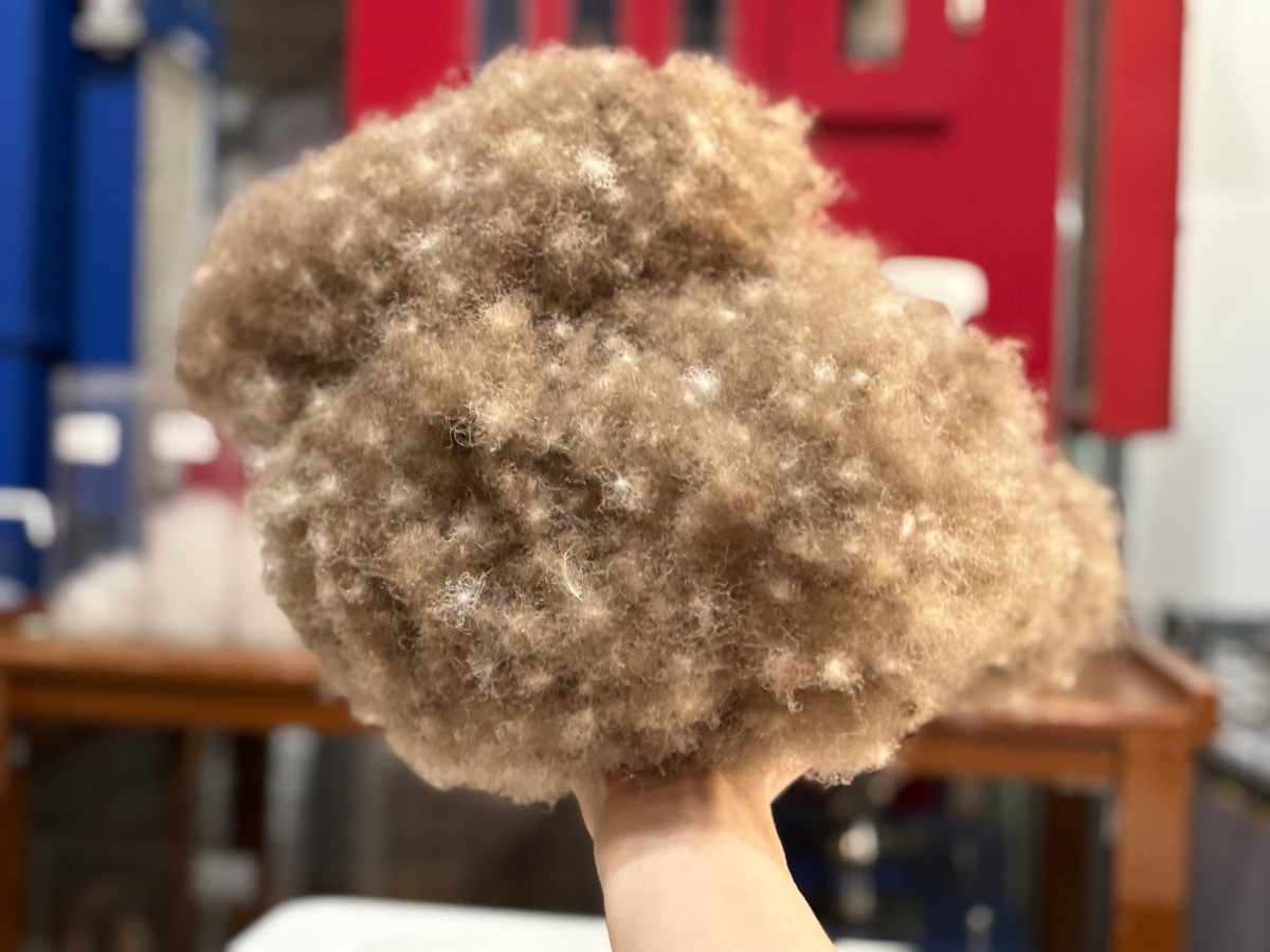 �g����10�N�̃A�C�_�[�Ɩ��g�p�̃A�C�_�[