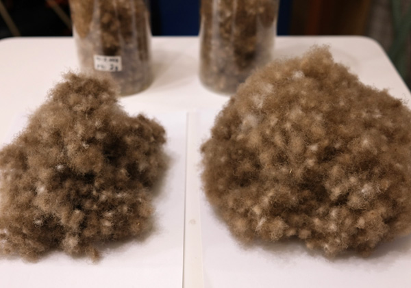 ��������A�C�_�[�_�E���̃��t�H�[�����