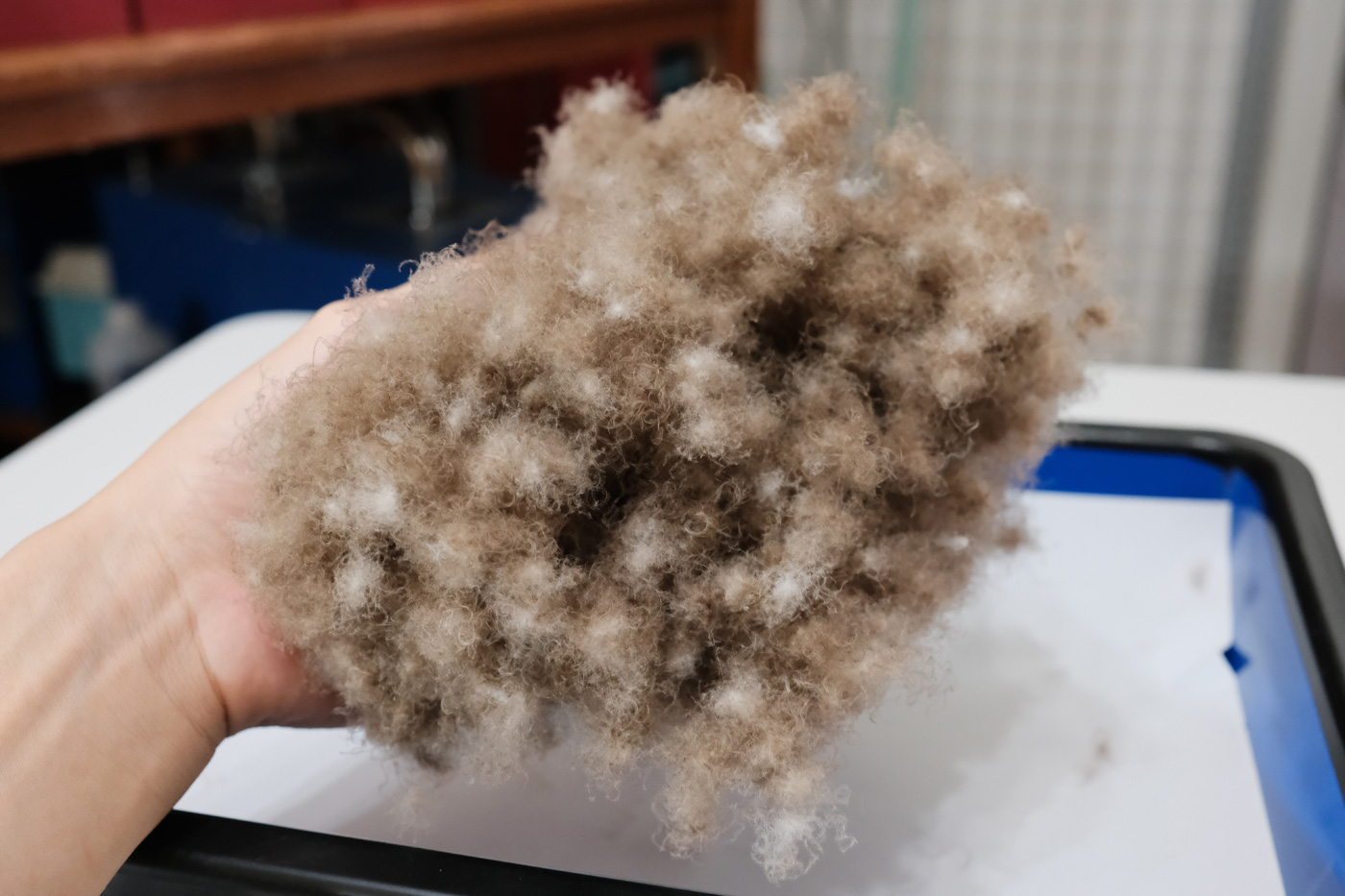 �����グ��Ə�������Ă���A�C�_�[�_�E��