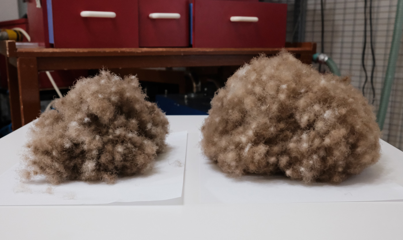 10�N�o�߂����A�C�_�[�_�E��